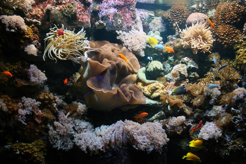 09-07-2012 14.26.18.jpg