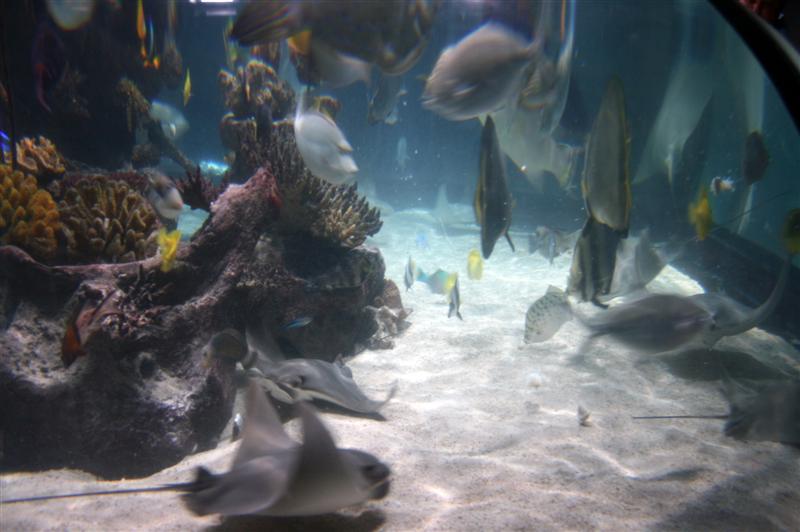 09-07-2012 14.18.41.jpg