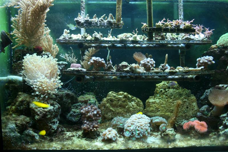 09-07-2012 14.24.22.jpg