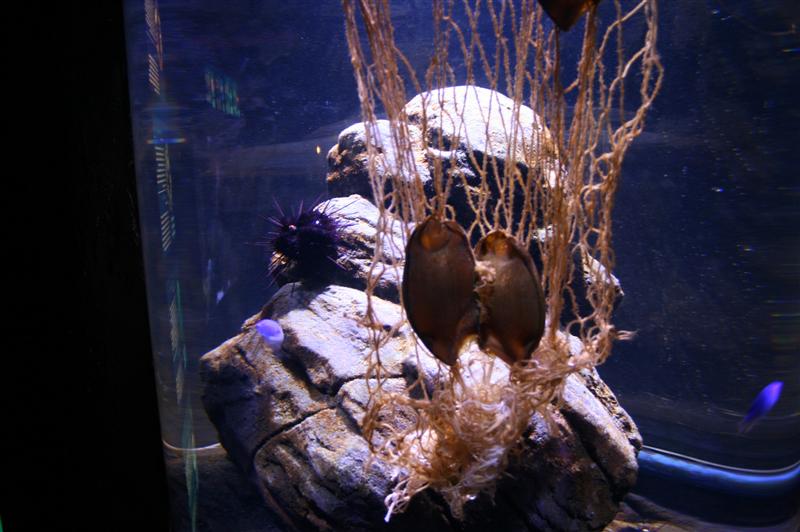 09-07-2012 14.16.56.jpg