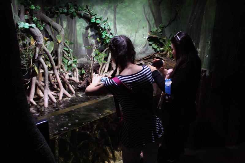 09-07-2012 14.15.28.jpg