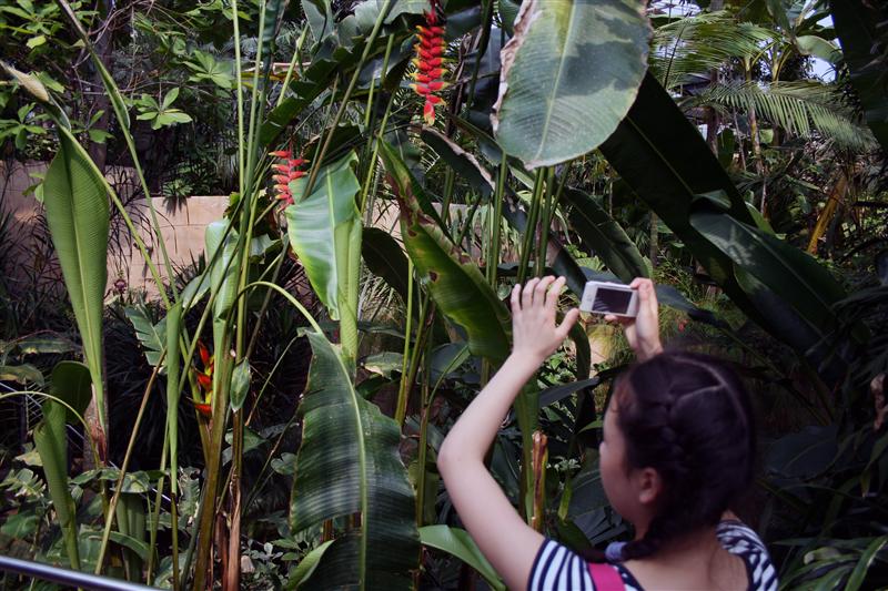 09-07-2012 14.44.04.jpg