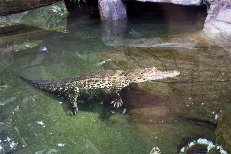 09-07-2012 14.38.11.jpg