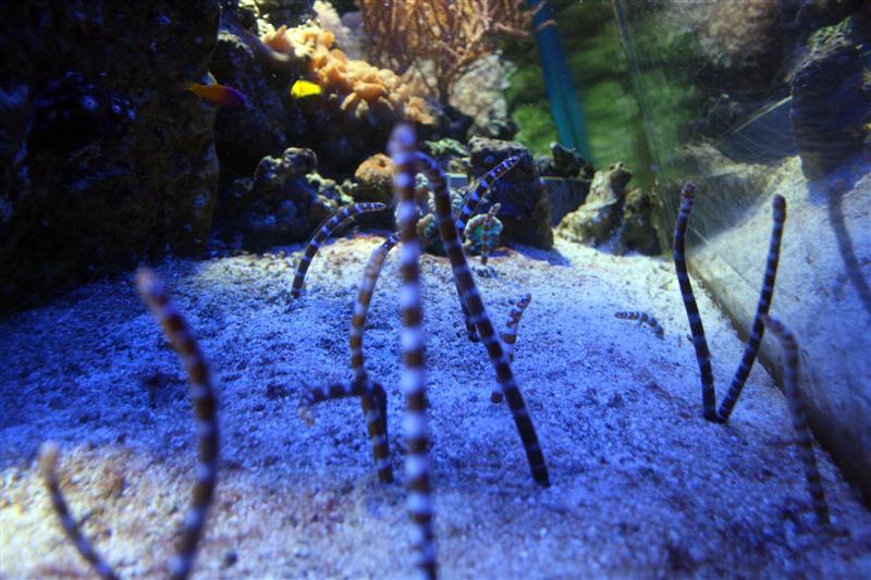 09-07-2012 14.23.21.jpg