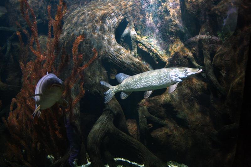 09-07-2012 14.11.48.jpg