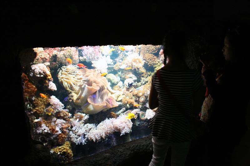 09-07-2012 14.26.00.jpg