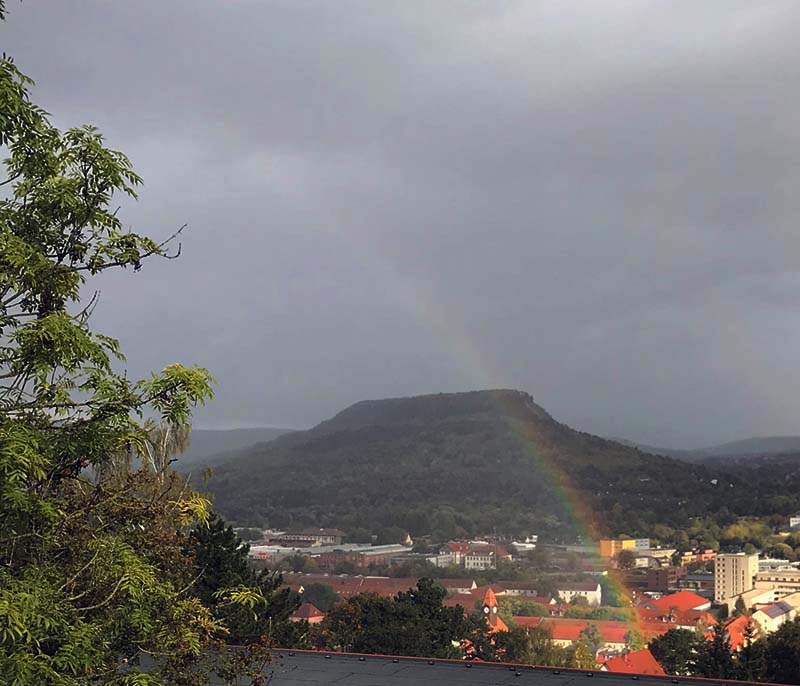 WhatsApp Image 2019-10-03 at 16.34.47.jpeg